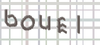 CAPTCHA image for SPAM prevention 